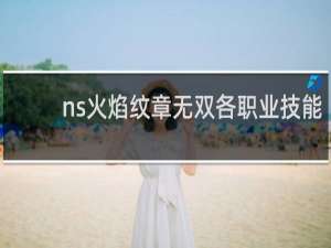 ns火焰纹章无双各职业技能