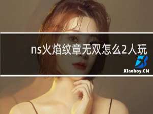 ns火焰纹章无双怎么2人玩