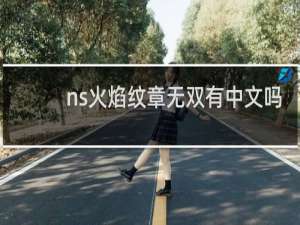 ns火焰纹章无双有中文吗