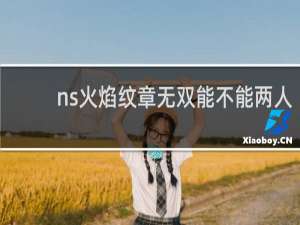 ns火焰纹章无双能不能两人