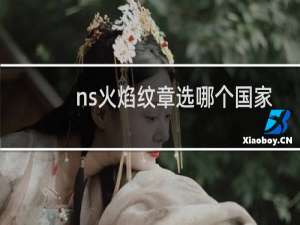 ns火焰纹章选哪个国家