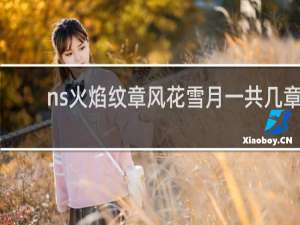 ns火焰纹章风花雪月一共几章