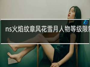ns火焰纹章风花雪月人物等级限制吗
