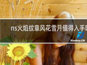 ns火焰纹章风花雪月值得入手吗