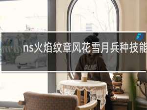 ns火焰纹章风花雪月兵种技能