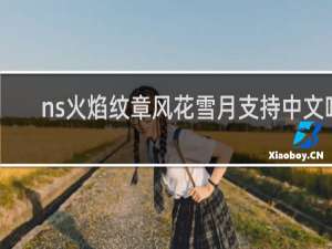 ns火焰纹章风花雪月支持中文吗