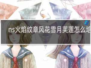 ns火焰纹章风花雪月芙莲怎么培养