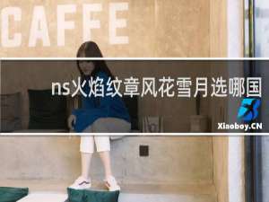 ns火焰纹章风花雪月选哪国