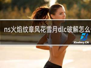 ns火焰纹章风花雪月dlc破解怎么使用