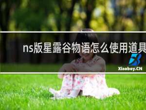 ns版星露谷物语怎么使用道具