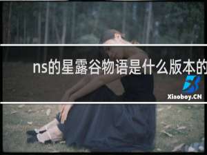 ns的星露谷物语是什么版本的