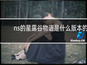 ns的星露谷物语是什么版本的