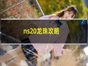 ns 龙珠攻略