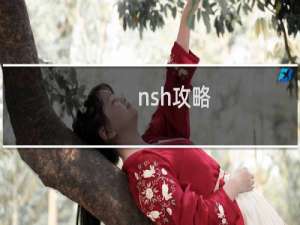 nsh攻略