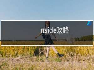 nside攻略