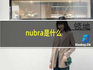 nubra是什么（NuBra是什么）