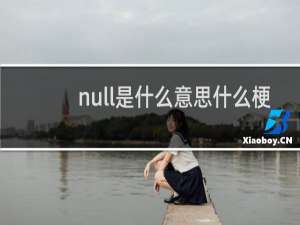 null是什么意思什么梗