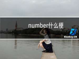 number什么梗
