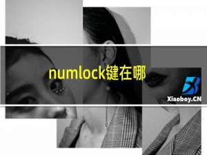 numlock键在哪图片（numlock键在哪）