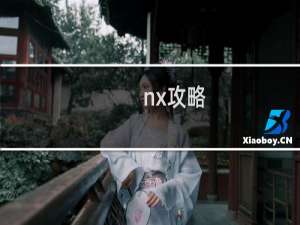 nx攻略