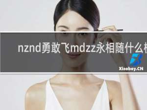 nznd勇敢飞mdzz永相随什么梗