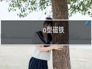 o型磁铁