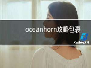 oceanhorn攻略包裹