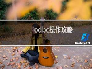 odbc操作攻略