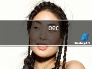 oec.cnzik.cn 解析了直接跳转到登录页面了