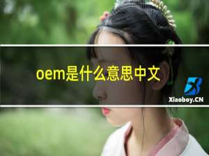 oem是什么意思中文翻译（oem是什么意思）