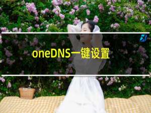 【oneDNS一键设置】免费oneDNS一键设置软件下载
