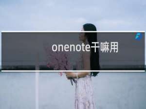 onenote干嘛用的（onenote功能介绍）