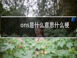 ons是什么意思什么梗
