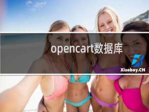 opencart数据库