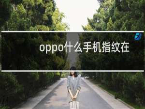 oppo什么手机指纹在后面