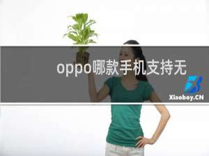 oppo哪款手机支持无线充