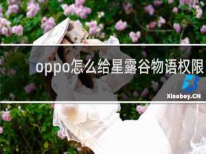 oppo怎么给星露谷物语权限