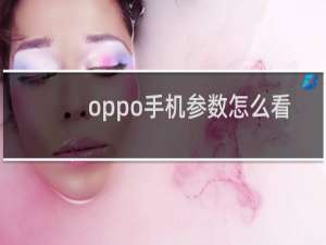 oppo手机参数怎么看