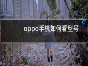 oppo手机如何看型号