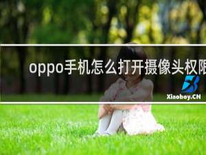 oppo手机怎么打开摄像头权限