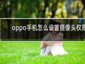 oppo手机怎么设置摄像头权限