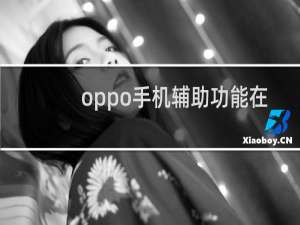 oppo手机辅助功能在哪