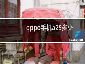 oppo手机a25多少钱