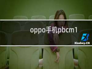 oppo手机pbcm10是什么型号