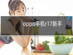 oppo手机r17新手机多少钱