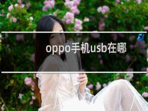 oppo手机usb在哪