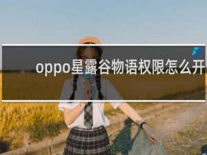 oppo星露谷物语权限怎么开