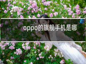 oppo的旗舰手机是哪个系列