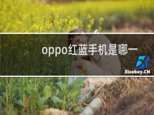 oppo红蓝手机是哪一款