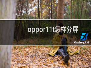 oppor11t怎样分屏